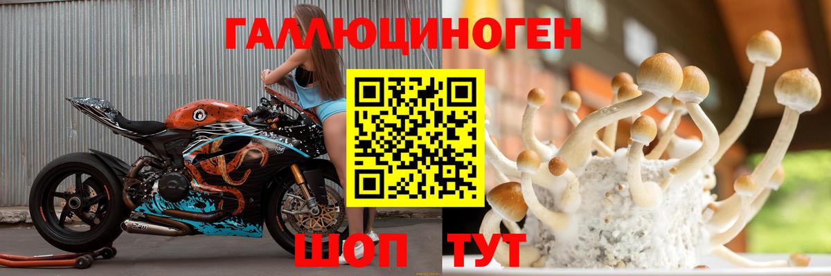 Псилоцибиновые грибы мицелий  Псилоцибиновые грибы Psilocybe  Вход с VPN  Ухта 